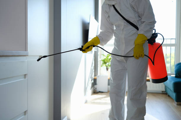 Best Mold Removal Process  in Mclouth, KS