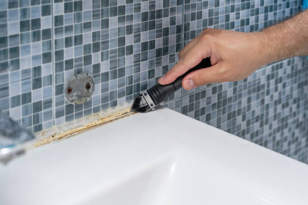 Best Mold Removal and Inspection  in Mclouth, KS