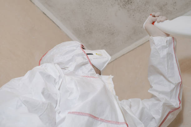 Certified Mold Removal in Mclouth, KS
