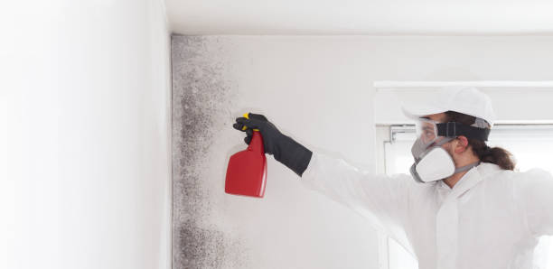 Best Toxic Mold Removal  in Mclouth, KS